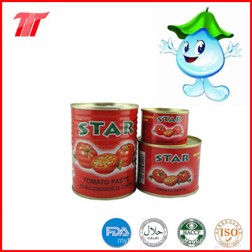 Star Brand Tomato Paste with Low Price